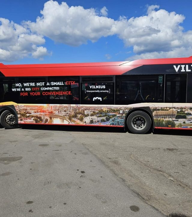 Dalinis apipavidalinimas